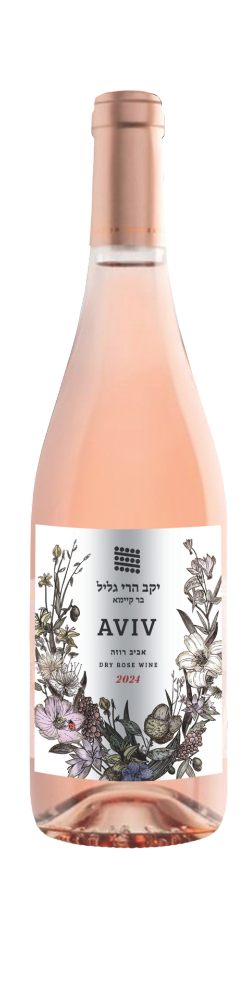 AVIV רוזה